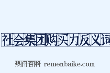 社会集团购买力反义词是什么意思的图片